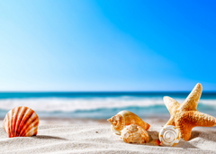 Order for Niki 70x50CM ENORMOUS  Tempered GLASS Chopping Board