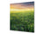 Pannello in vetro rinforzato – Paraschizzi in vetro – Paraspruzzi cucina e bagno BS17 Serie erba verde e cereali: Grass Meadow West