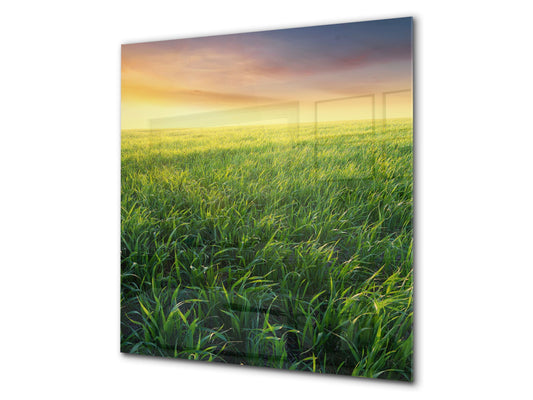 Kitchen & Bathroom splashback BS17 Green grass and cereals Series Grass Meadow West