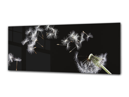 Modern Glass Picture 125x50 cm (49.21” x 19.69”) – Dandelion 1