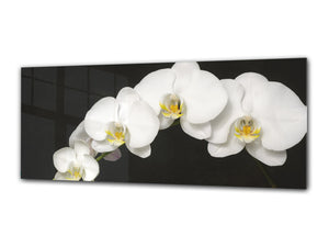 Modernes Glasbild 125 x 50 cm –  Orchidee 1