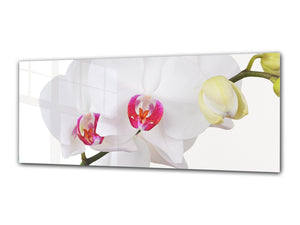 Modernes Glasbild 125 x 50 cm –  Blume 3