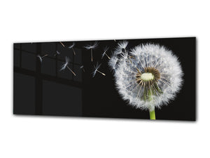 Modern Glass Picture 125x50 cm (49.21” x 19.69”) – Dandelion 2