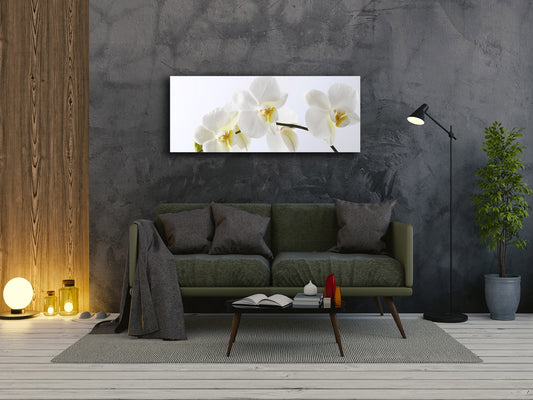 Cuadro de cristal moderno 125x50 cm (49,21 "x 19,69") - Flor 5