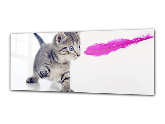 Cuadro de cristal moderno 125x50 cm (49,21 "x 19,69") - Gatito 1