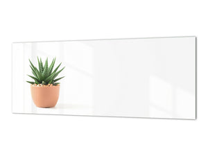 Glass kitchen panel with and w/o stainless steel back-coating: Little plant