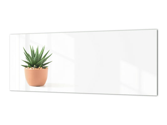Glass kitchen panel with and w/o stainless steel back-coating: Little plant
