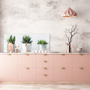 Glass kitchen panel with and w/o stainless steel back-coating: Succulent plants in pots