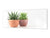 Glass kitchen panel with and w/o stainless steel back-coating: Succulent plants in pots 2