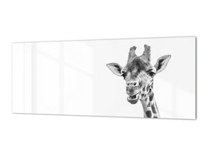 Glass backsplash w/ and w/o metal sheet backing with magnetic properties: black and white  giraffe