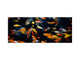 Glass backsplash w/ and w/o metal sheet backing with magnetic properties: Fish lil