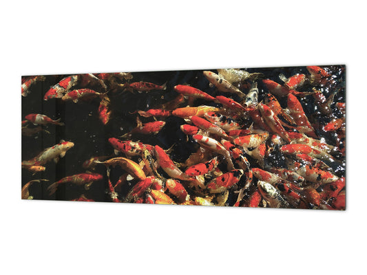 Large format horizontal backsplash - magnetic and non magnetic tempered glass: Colorful Koi