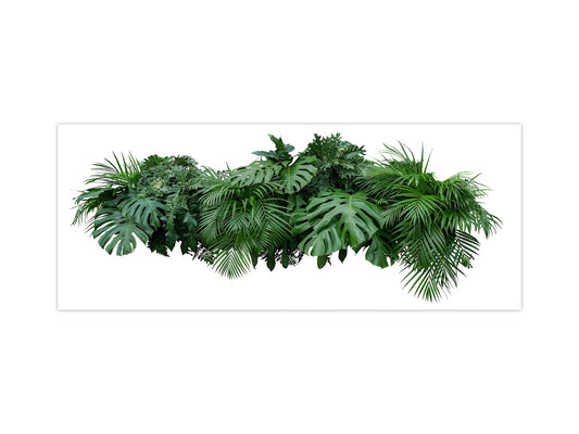 Large format horizontal backsplash - magnetic and non magnetic tempered glass:  Tropical leaves