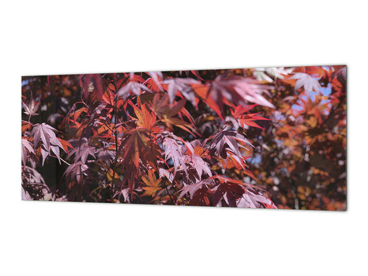 Glass splashback with metal backing - Kitchen glass panel: Bloodgood