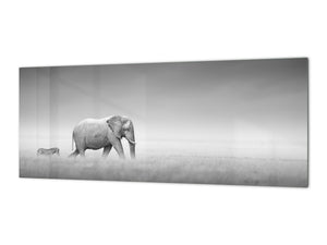 Stunning glass wall art - Wide format  backsplash with magnetic properties:  Elefant with zebra in Etosha
