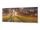 Stunning glass wall art - Wide format  backsplash with magnetic properties:  Sunny Landscape Of Trees
