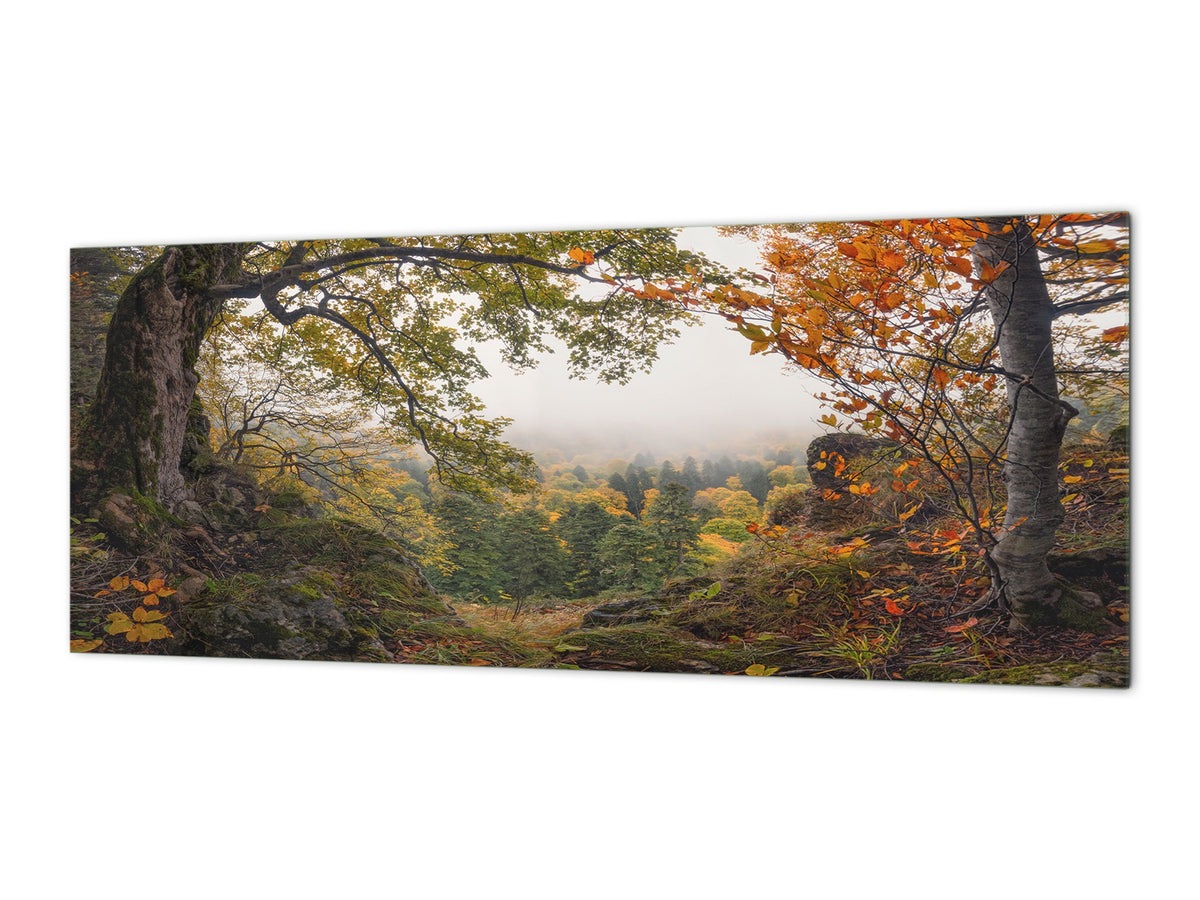 Stunning glass wall art - Wide format  backsplash with magnetic properties:  Mountain Misty Valley