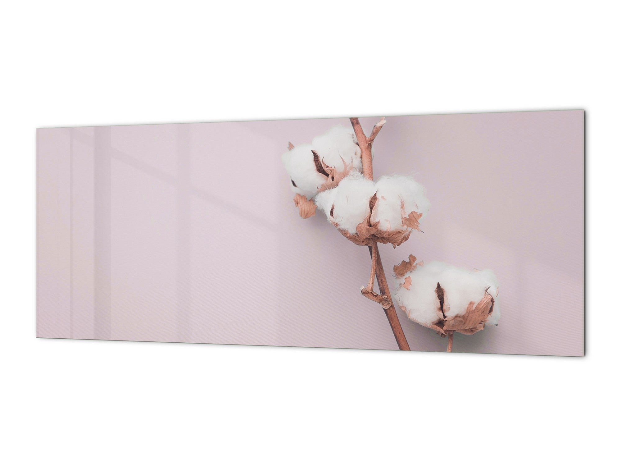 Wide format Wall panel with magnetic and non-magnetic metal sheet backing: Cotton flower on  paper 2