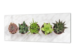 Tempered Glass magnetic and non magnetic splashback in wide-format: Succulent plants