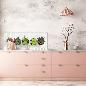 Tempered Glass magnetic and non magnetic splashback in wide-format: Succulent plants