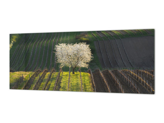 Glass backsplash w/ and w/o metal sheet backing with magnetic properties: Blooming Wild Cherry