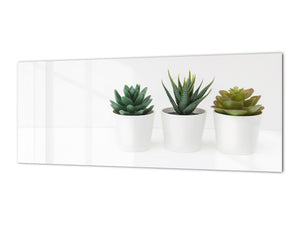 Glass backsplash w/ and w/o metal sheet backing with magnetic properties:  Succulent plants pots