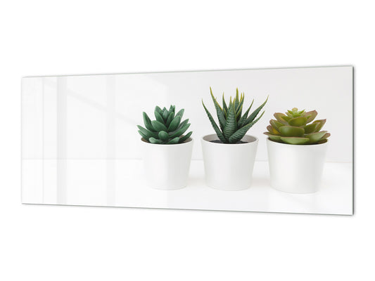Glass backsplash w/ and w/o metal sheet backing with magnetic properties:  Succulent plants pots