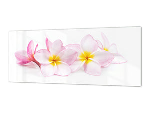 Glass backsplash w/ and w/o metal sheet backing with magnetic properties:  Blossoming exotic rose
