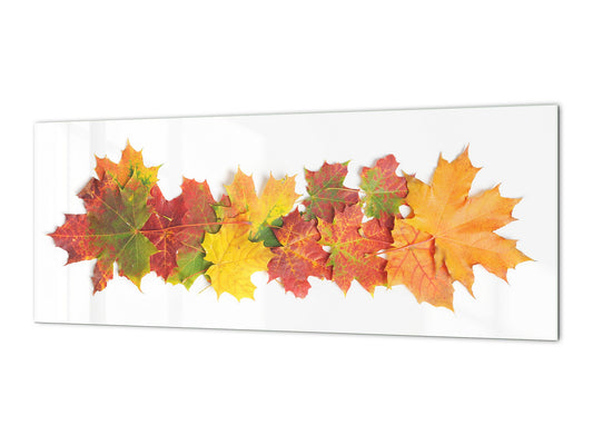 Glass kitchen panel with and w/o stainless steel back-coating: Autumn leaves  on white