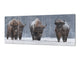 Glass splashback with metal backing in wide format - Kitchen tempered glass panel: Winter Image With Four Bisons