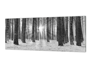 Glass splashback with metal backing in wide format - Kitchen tempered glass panel: Tribute Ansel Adams Walking Forest