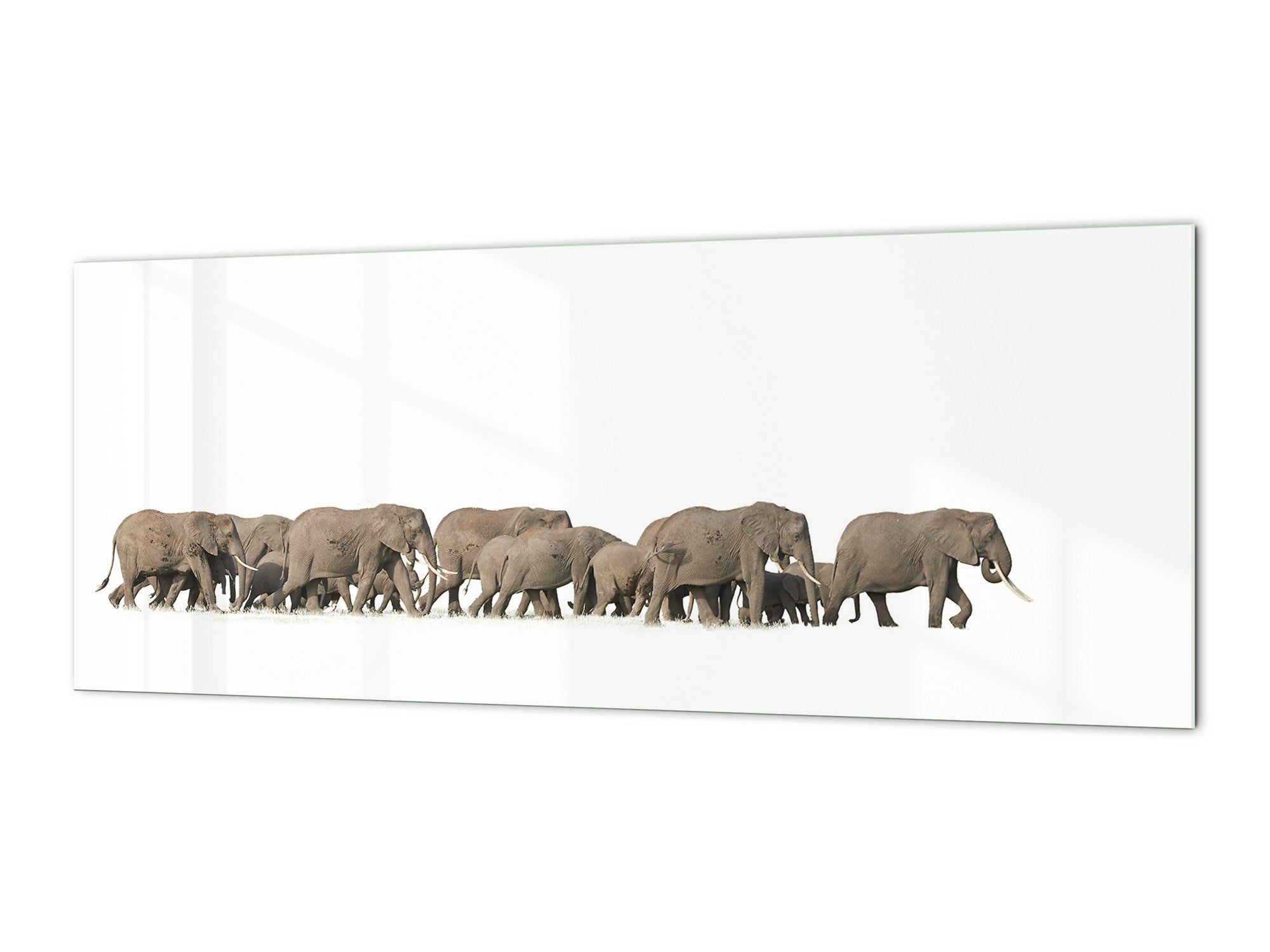 Glass splashback with metal backing in wide format - Kitchen tempered glass panel: Herd of African elephants