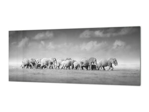 Glass splashback with metal backing in wide format - Kitchen tempered glass panel: Herd of African elephants 2