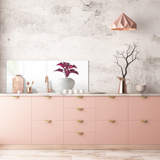 Glass splashback with metal backing in wide format - Kitchen tempered glass panel: Houseplant coleus in flowerpot