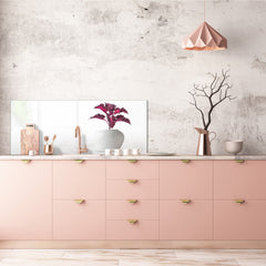 Glass splashback with metal backing in wide format - Kitchen tempered glass panel: Houseplant coleus in flowerpot