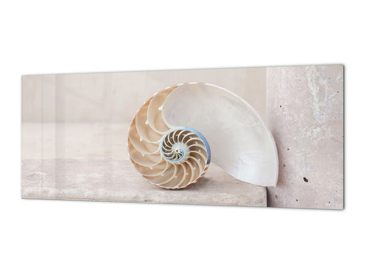 Wide-format tempered glass kitchen wall panel with metal backing - and without: Nautilus seashell