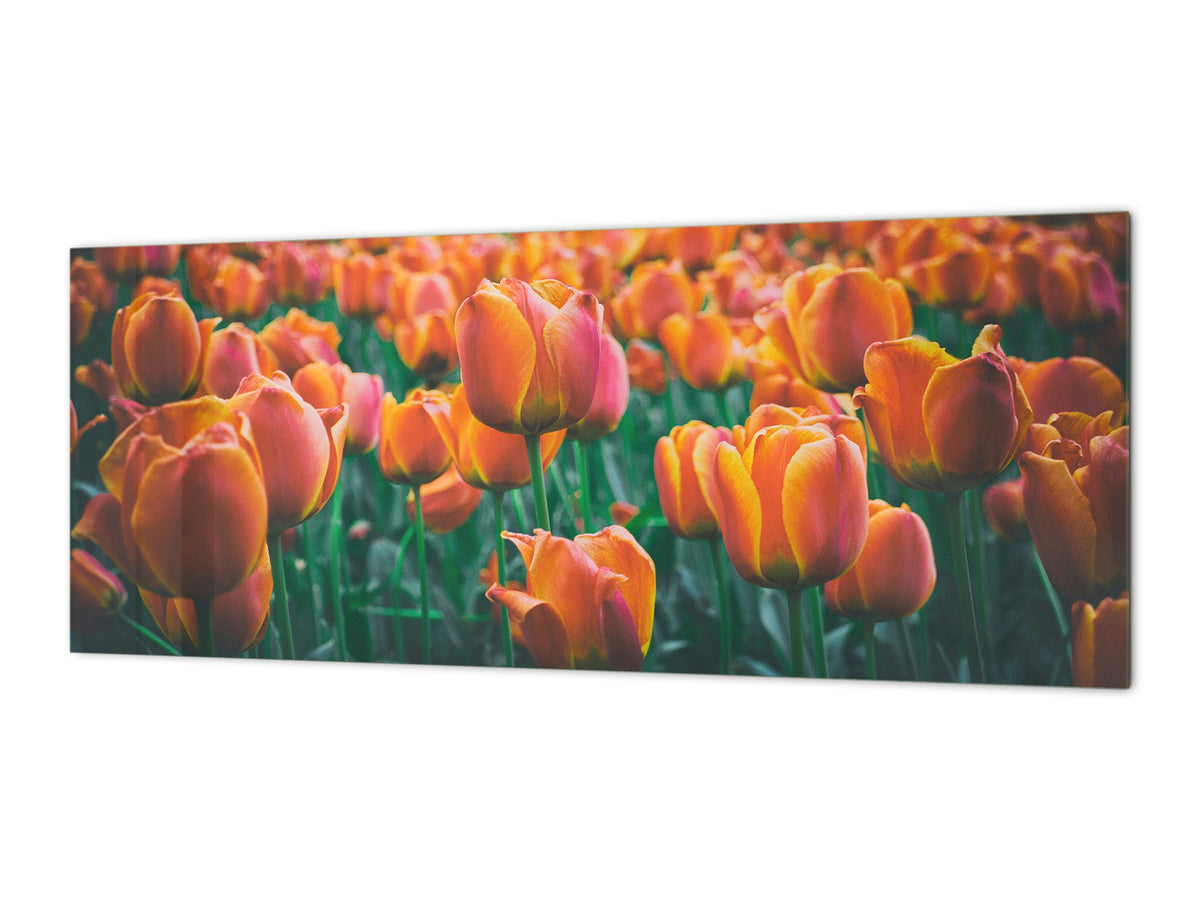 Toughened printed glass backsplash - Wideformat steel coated wall glass splashback: Meadow of red orange tulips
