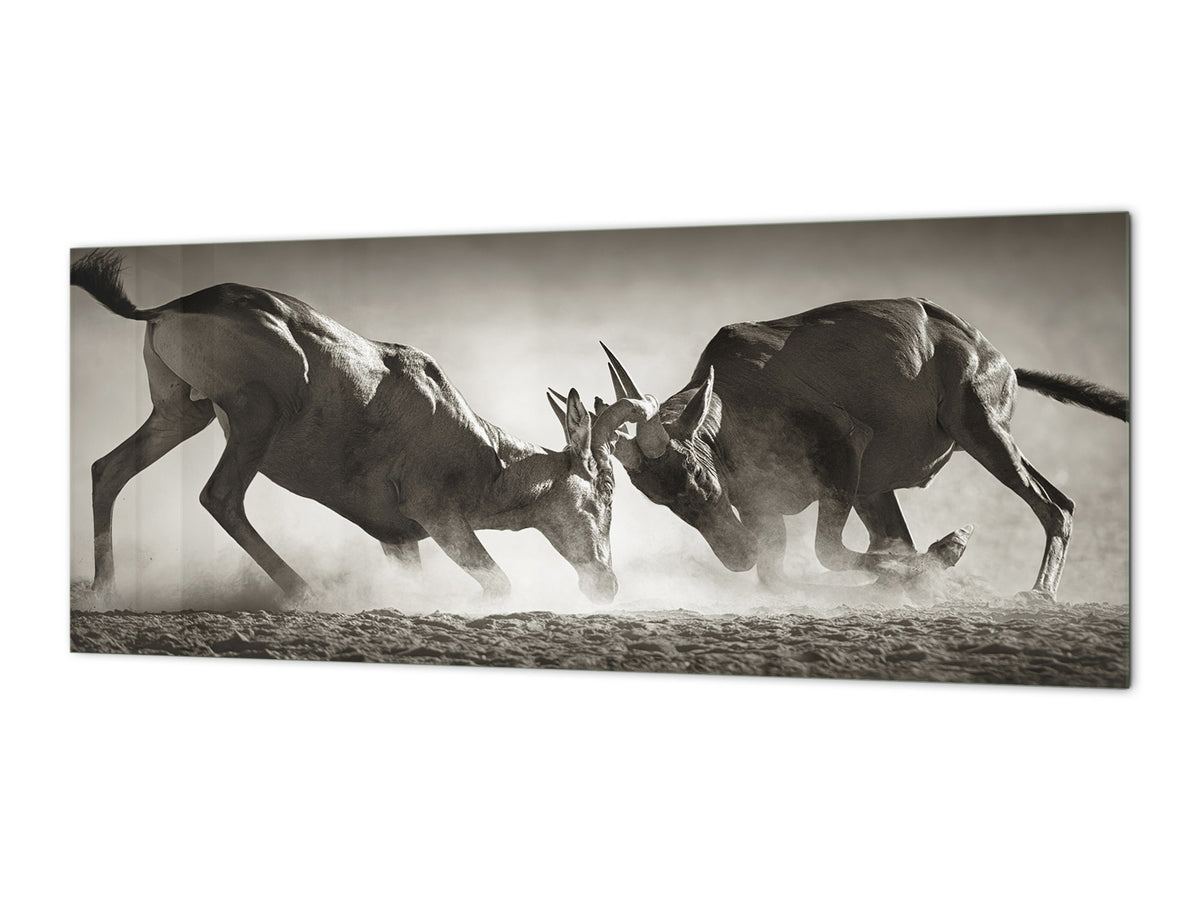 Toughened printed glass backsplash - Wideformat steel coated wall glass splashback: Duel in dust - South Africa