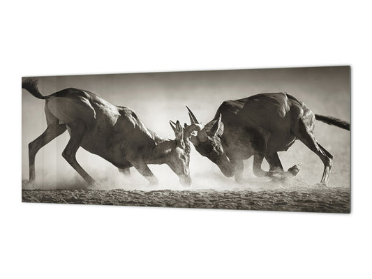Toughened printed glass backsplash - Wideformat steel coated wall glass splashback: Duel in dust - South Africa