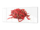 Wide format Wall panel with magnetic and non-magnetic metal sheet backing: Red hot chilli PEPPERs