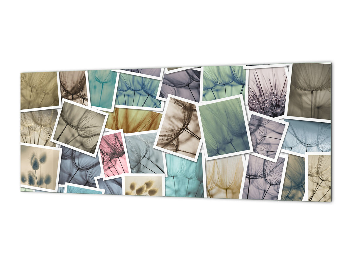 Contemporary glass kitchen panel - Wide format wall backsplash: Collage  of dandelions
