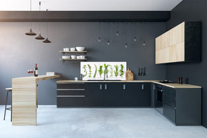 Contemporary glass kitchen panel - Wide format wall backsplash: Herb pots in the kitchen