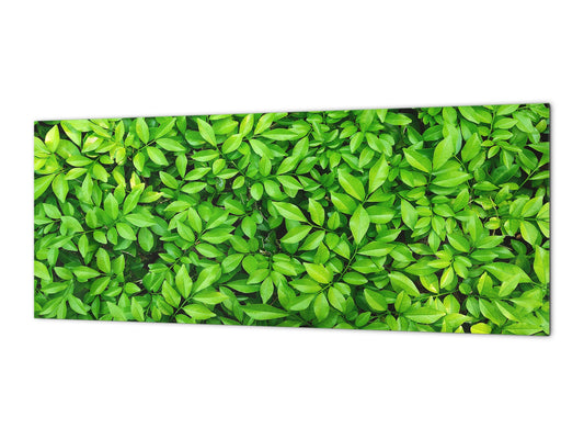 Tempered Glass magnetic and non magnetic splashback in wide-format: Green leaves wall