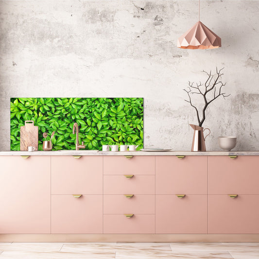 Tempered Glass magnetic and non magnetic splashback in wide-format: Green leaves wall