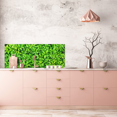 Tempered Glass magnetic and non magnetic splashback in wide-format: Green leaves wall