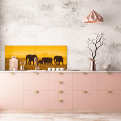 Tempered Glass magnetic and non magnetic splashback in wide-format: Elephants in Amboseli national park, Kenya