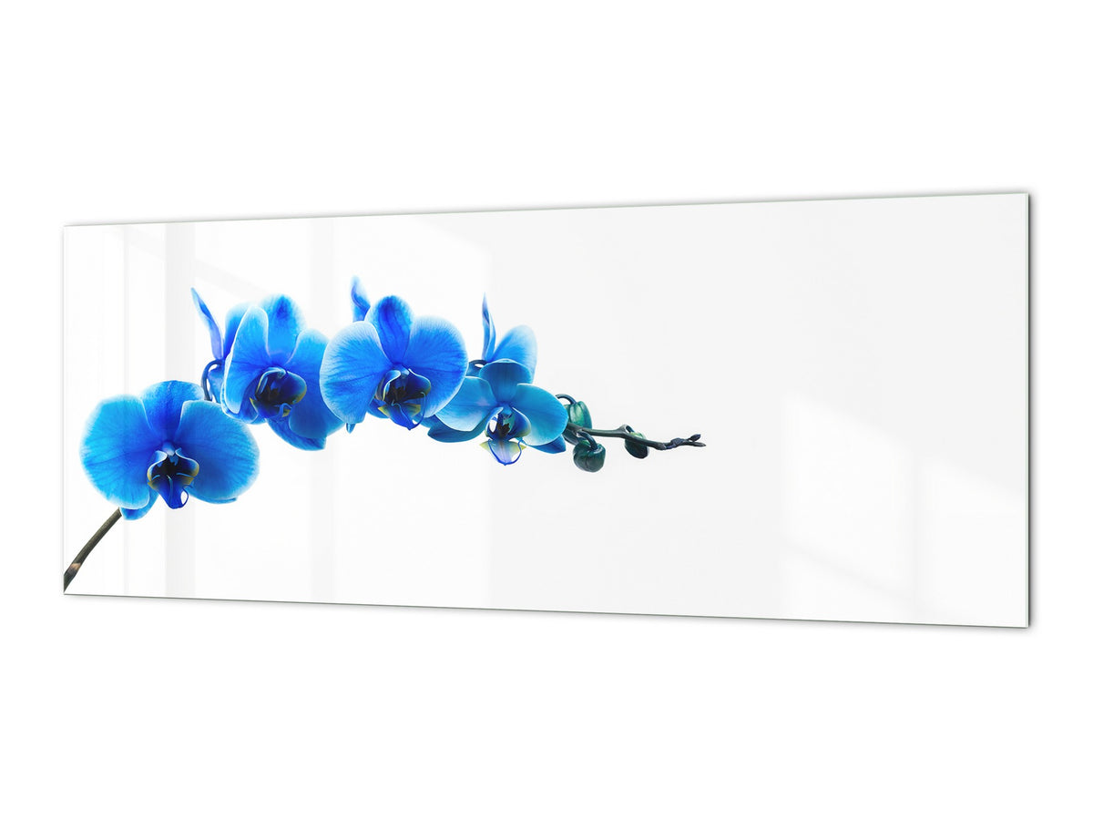 Tempered Glass magnetic and non magnetic splashback in wide-format: Blue orchid on white