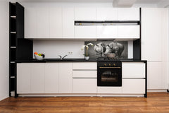 Glass backsplash w/ and w/o metal sheet backing with magnetic properties: White rhinos with birds