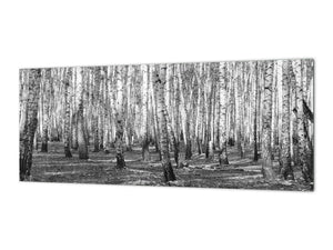 Large format horizontal backsplash - magnetic and non magnetic tempered glass: Birch forest