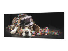 Glass splashback with metal backing in wide format - Kitchen tempered glass panel: Party Beagle